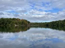 Southlake Regional Forest Southlake Regional Forest in King City, Ontario