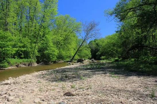 Bronte Creek Provincial Park near Burlington, Ontario