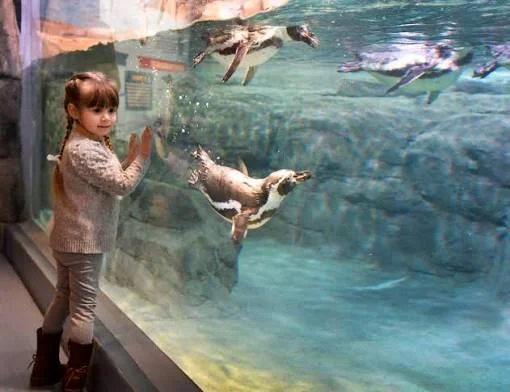 Aquarium of Niagara in Niagara Falls, New York