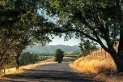 Niagara wine country road Wine country road in the Niagara wine region