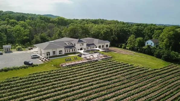 Niagara vineyards, winery district Niagara vineyards in the winery district