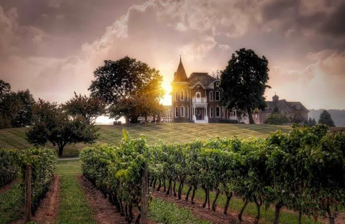 Niagara winery district Niagara winery district countryside