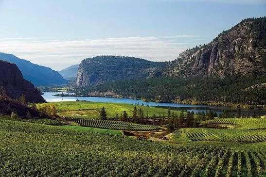 Niagara wine region limousine service